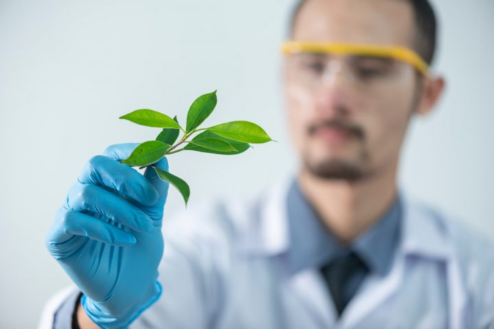 Why is Kratom Research Important?